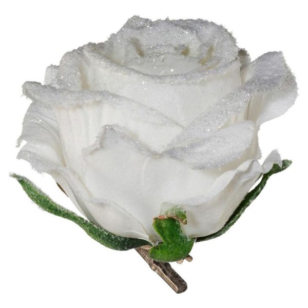 Rose Rose I Weiß