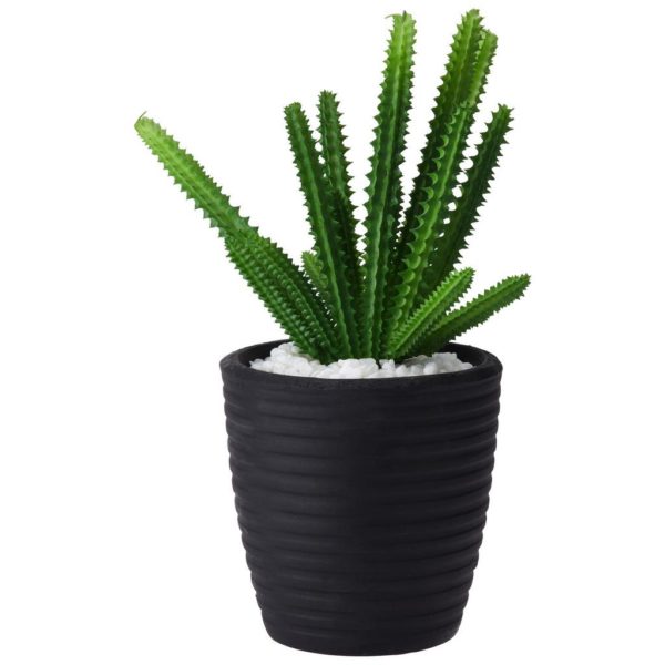 Rostlina Umělá Kaktus